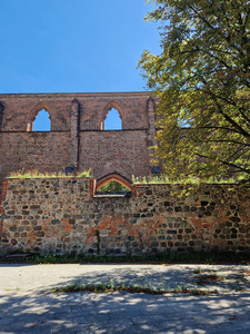 Brick walls are visible underneath the blue sky and one layer of bricks has grass on top